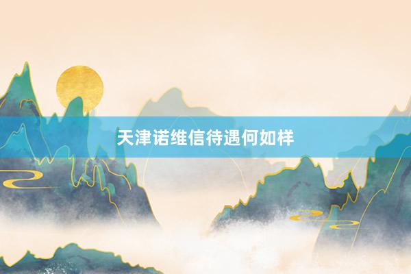 天津诺维信待遇何如样