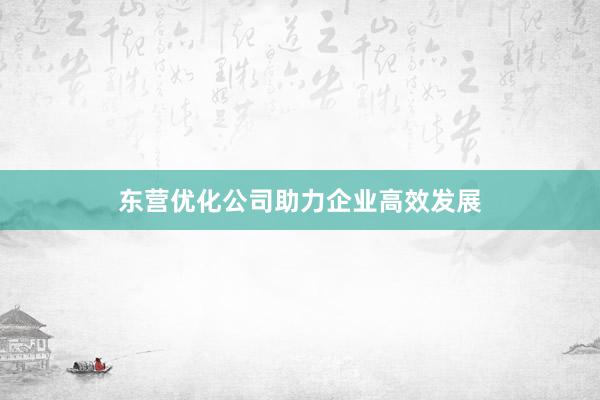 东营优化公司助力企业高效发展