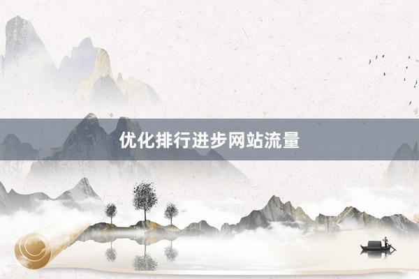 优化排行进步网站流量