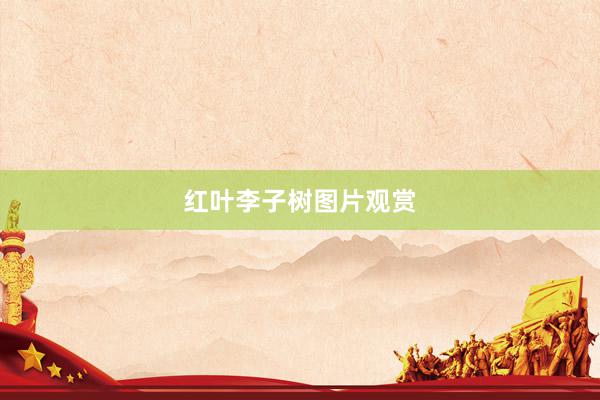 红叶李子树图片观赏